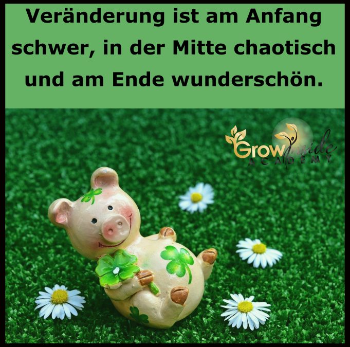 Veränderung ist am Ende wunderschön
