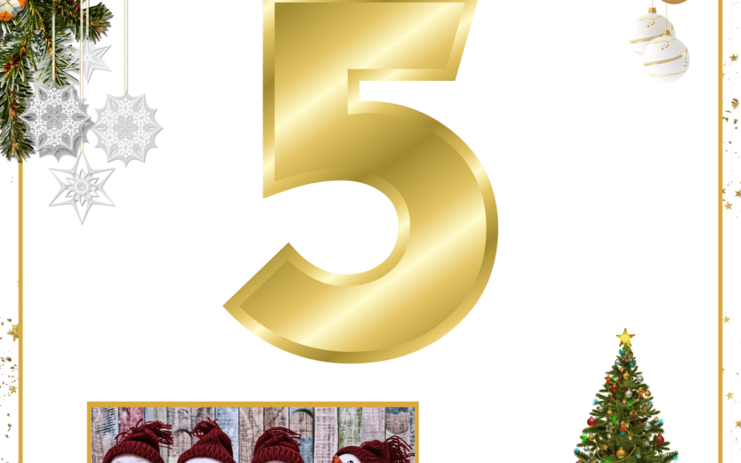 24 Adventsgeschichten – Wahrnehmung – Die besondere Ente