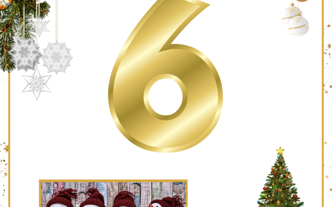 24 Adventsgeschichten – Perfektionismus – Milou muss perfekt sein