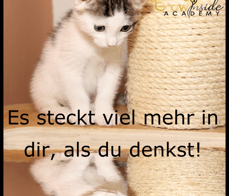 Es steckt viel mehr in dir, als du denkst!