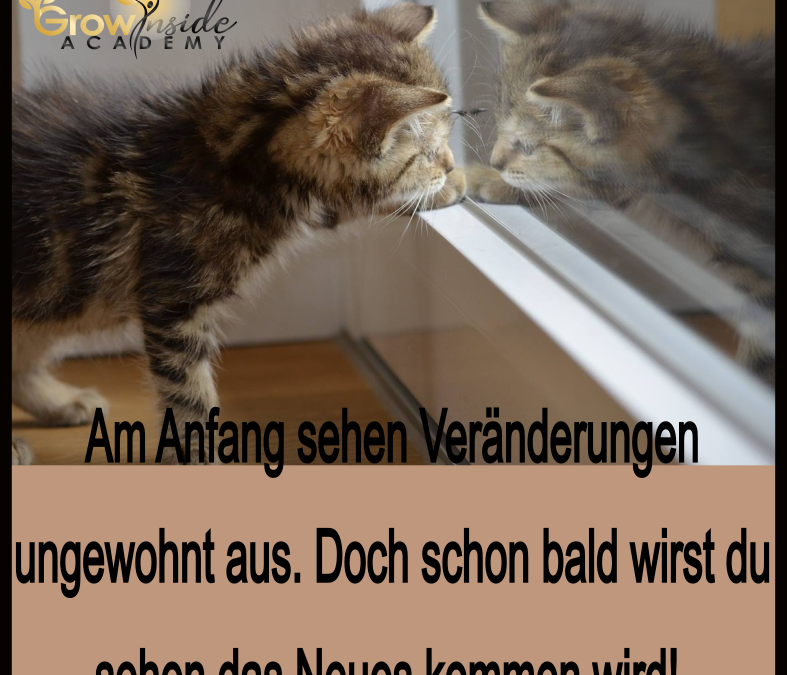 Am Anfang sieht eine Veränderung ungewohnt aus!