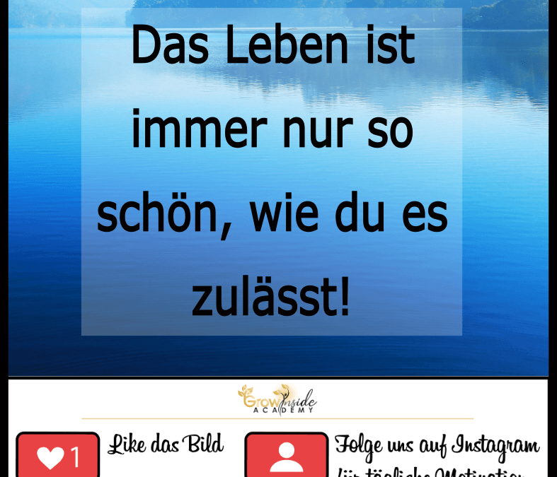 Das Leben ist schön, wenn du es zulässt