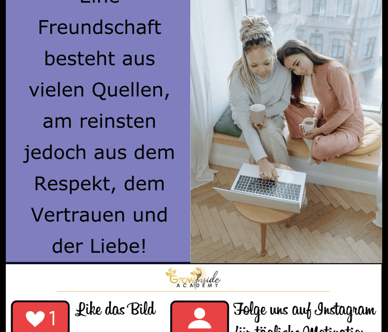 Eine Freundschaft besteht aus vielen Quellen…