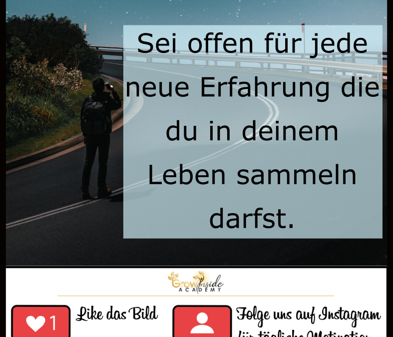 Sei dankbar für jede Erfahrung die du machst