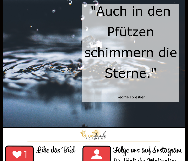 Auch in den Pfützen schimmern die Sterne