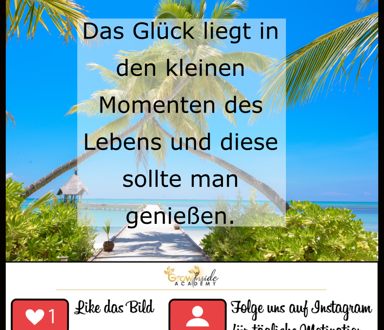 Die kleinen Momente des Lebens sind…